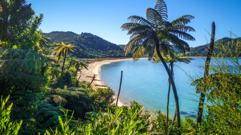 Abel Tasman National Park