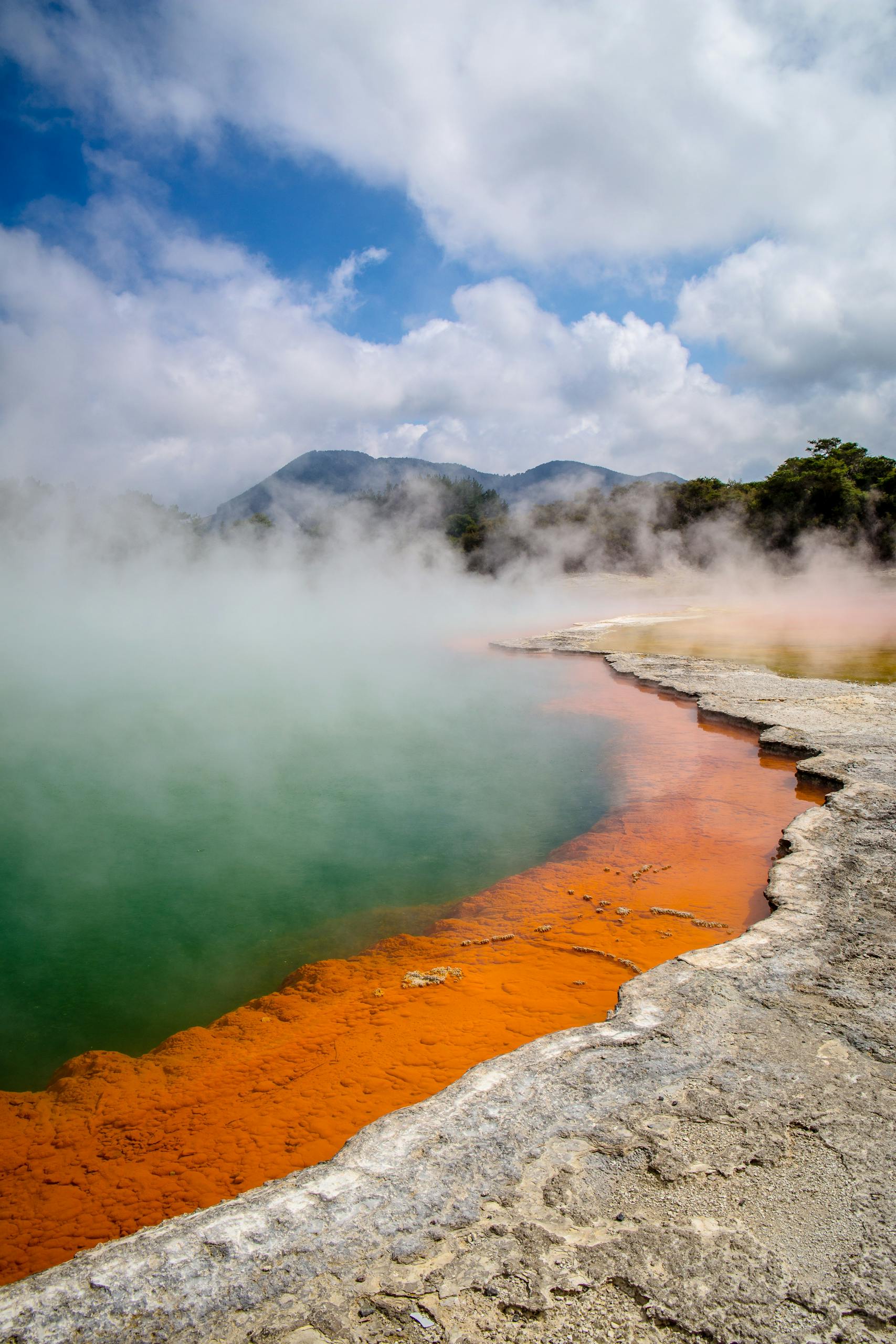 new zealand nz rotorua geothermal things to do new zealandia