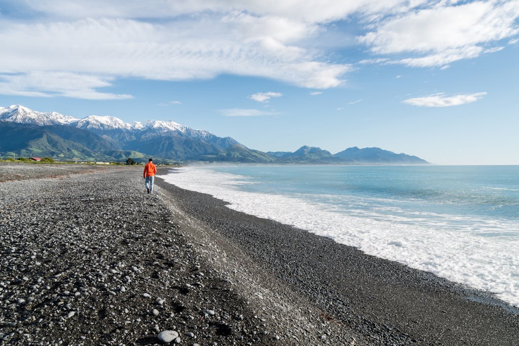 new zealand kaikoura