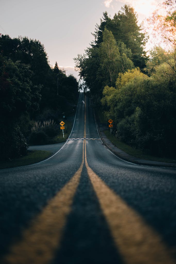 A scenic curving road through lush green hills and trees during day in Nelson, New Zealand.