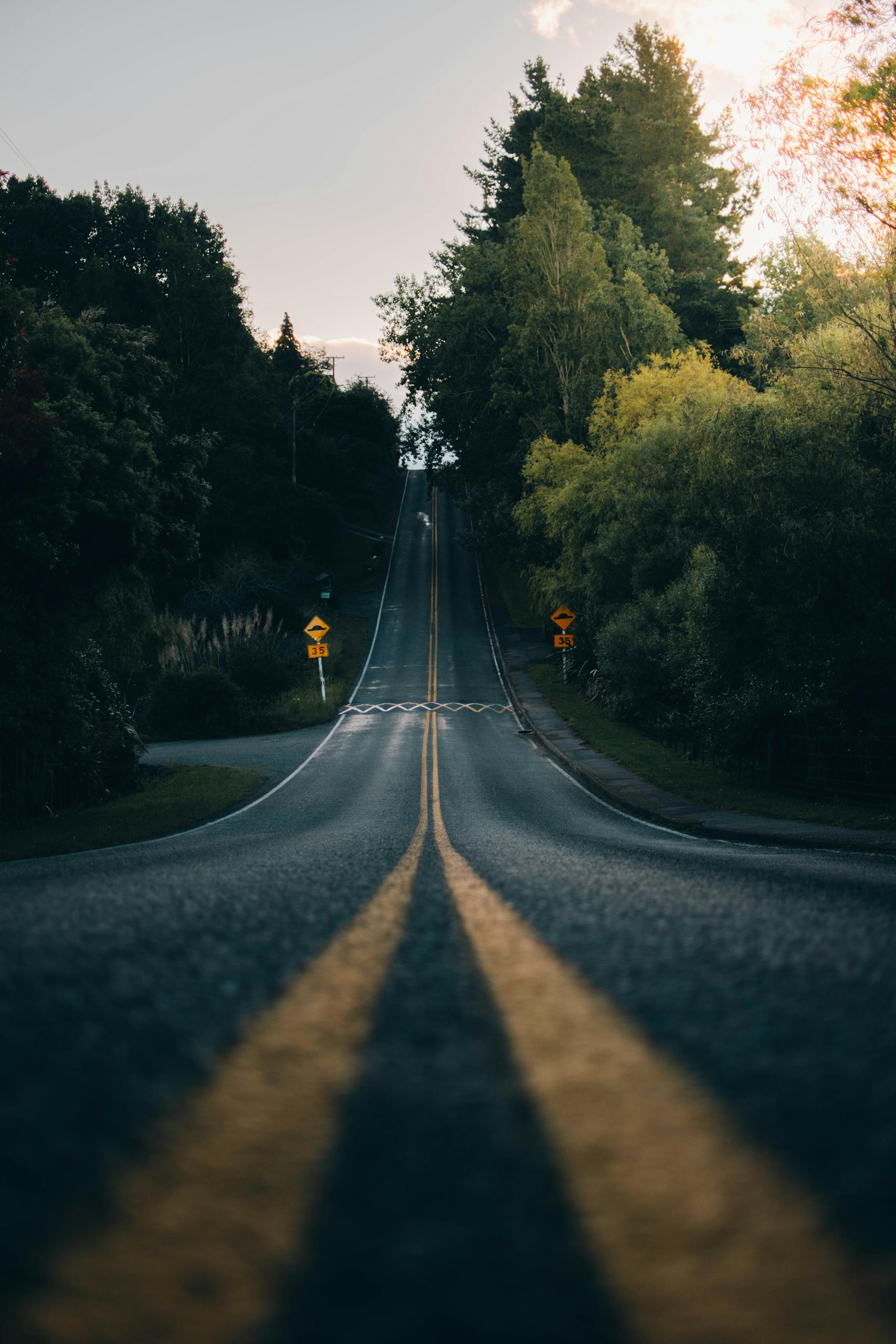 A winding road through green hills near Nelson, New Zealand